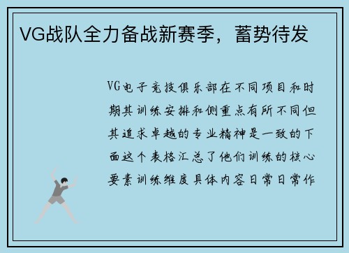 VG战队全力备战新赛季，蓄势待发